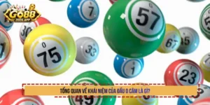 Tổng quan về khái niệm của đầu 0 câm là gì?