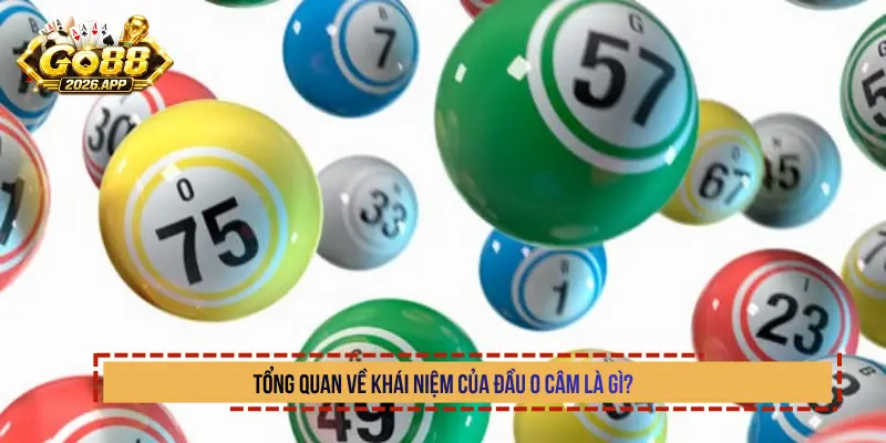 Tổng quan về khái niệm của đầu 0 câm là gì?