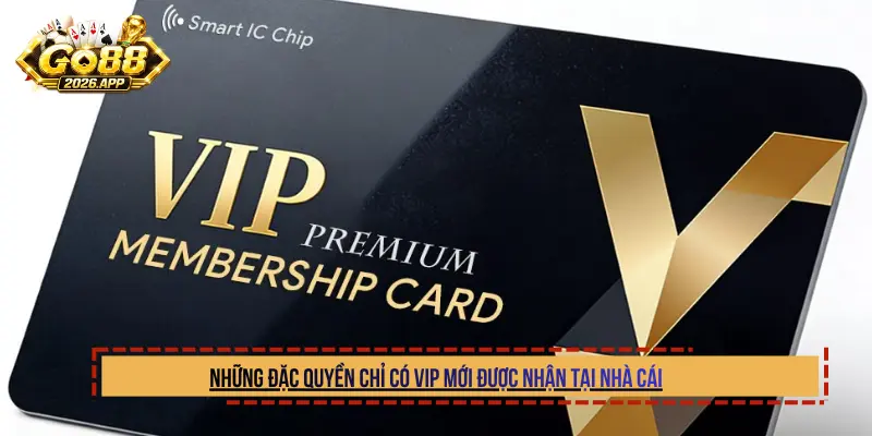 Những đặc quyền chỉ có VIP mới được nhận tại nhà cái