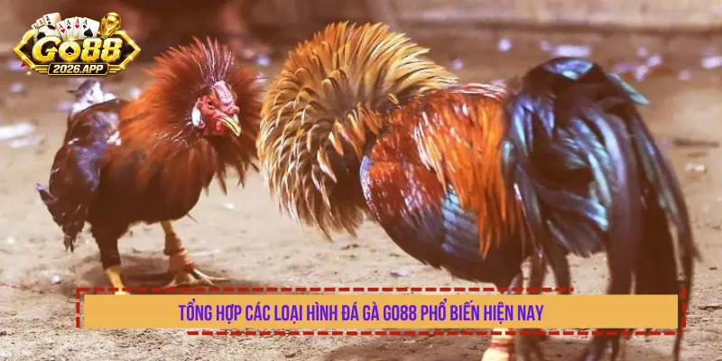 Tổng Hợp Các Loại Hình Đá Gà Go88 Phổ Biến Hiện Nay